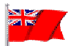 [Linked Image]